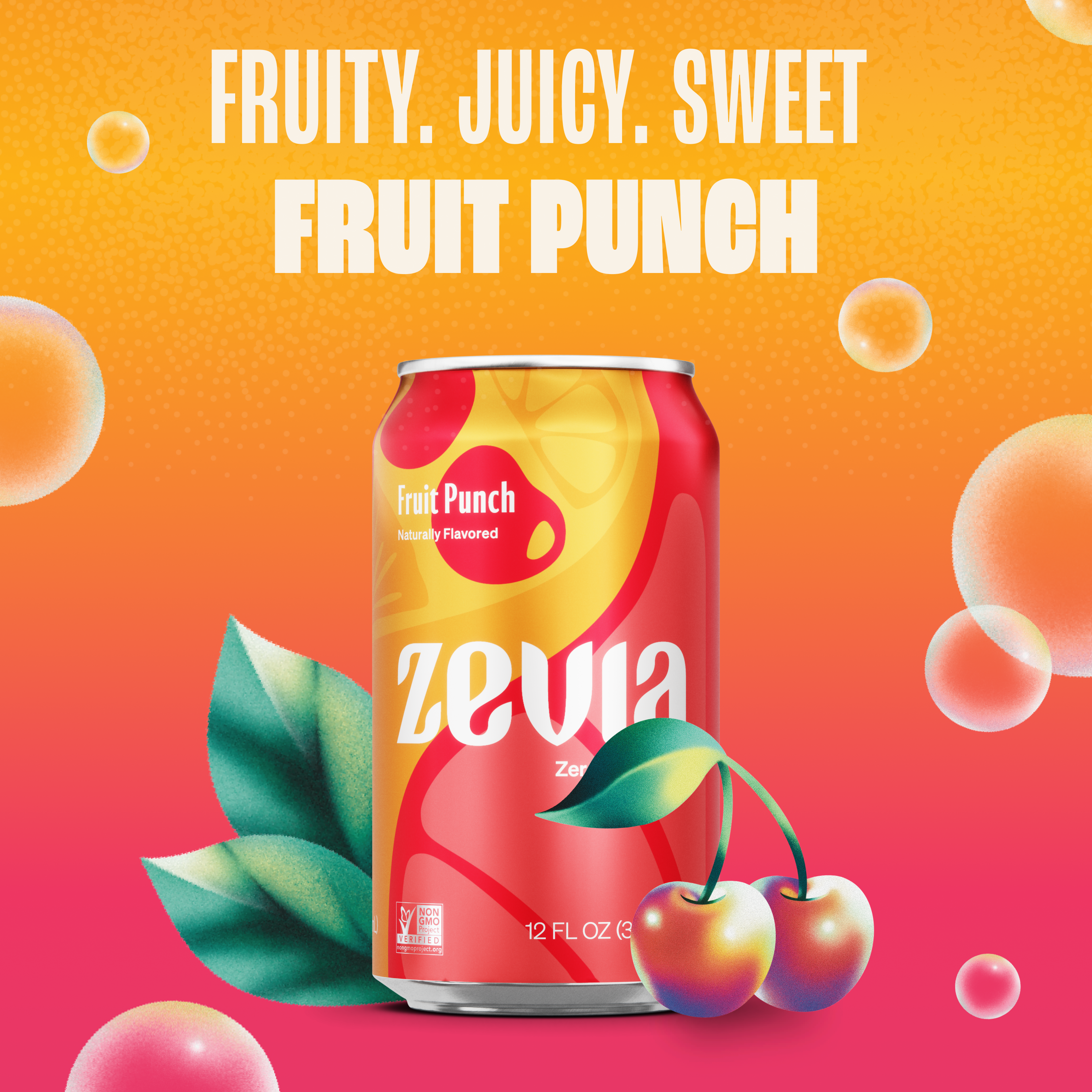 4 Flavor Fruity Soda Variety Pack