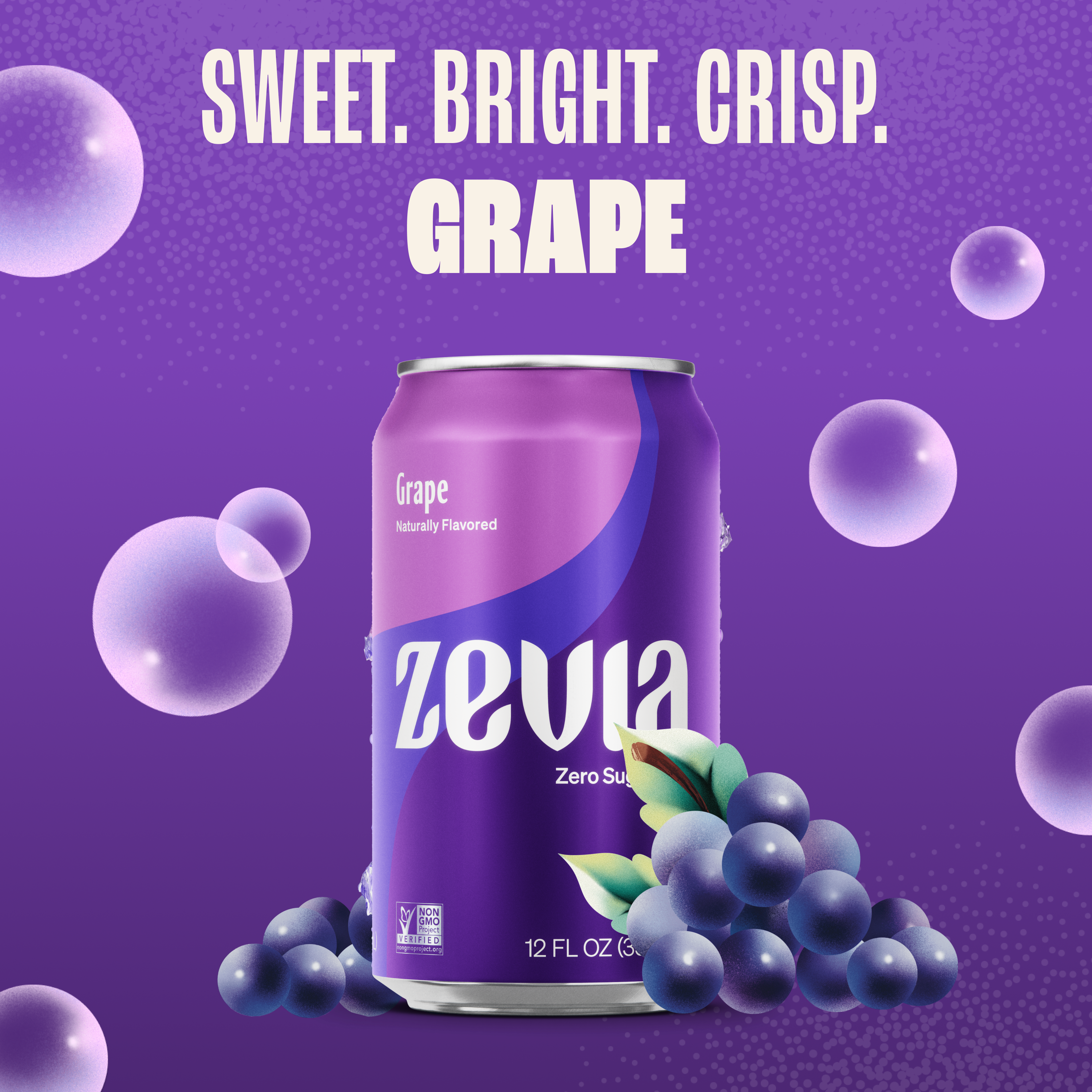 4 Flavor Fruity Soda Variety Pack